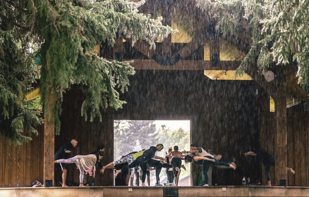 A yoga class holding a balance pose under a timber pavilion as rain falls